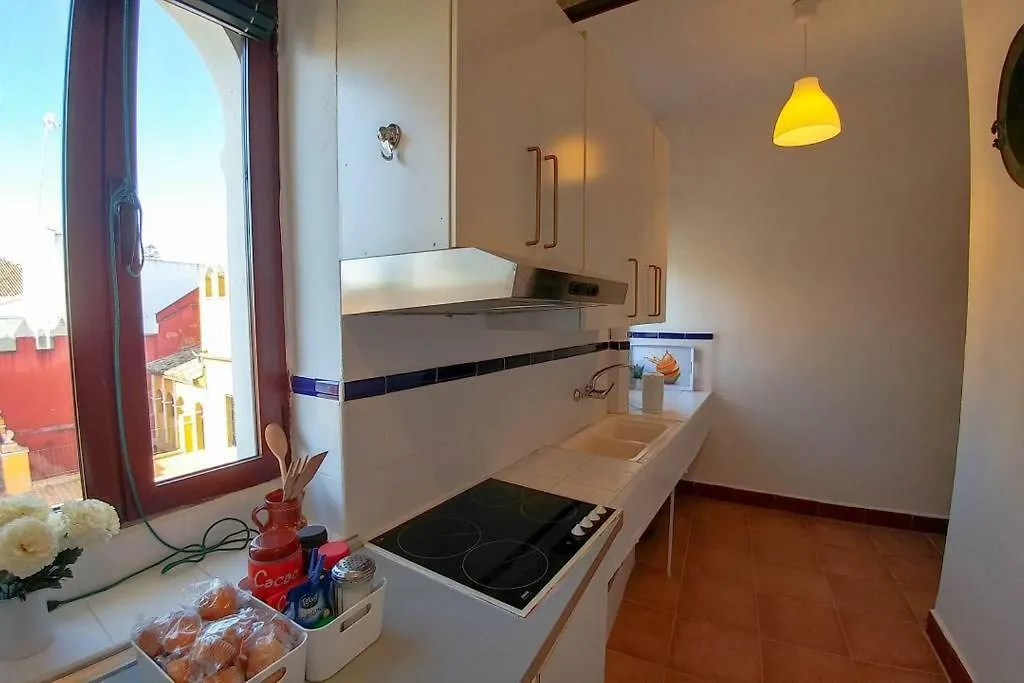Plaza Elvira Atico- Penthouse Next To Cathedral Apartment Seville Spain